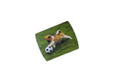 HAMA 50284 Dog