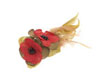 EVITA PERONI LINKA HAIR CLIP AURORA RED