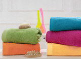 KENTIA 28415 BRAND APRICOT LAVETTE