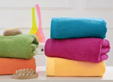 KENTIA 28417 BRAND BANANA LAVETTE
