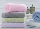 KENTIA 28413 BRAND ROSE LAVETTE