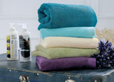 KENTIA 28412 BRAND SKY LAVETTE