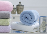 KENTIA 28427 BRAND SNOW LAVETTE